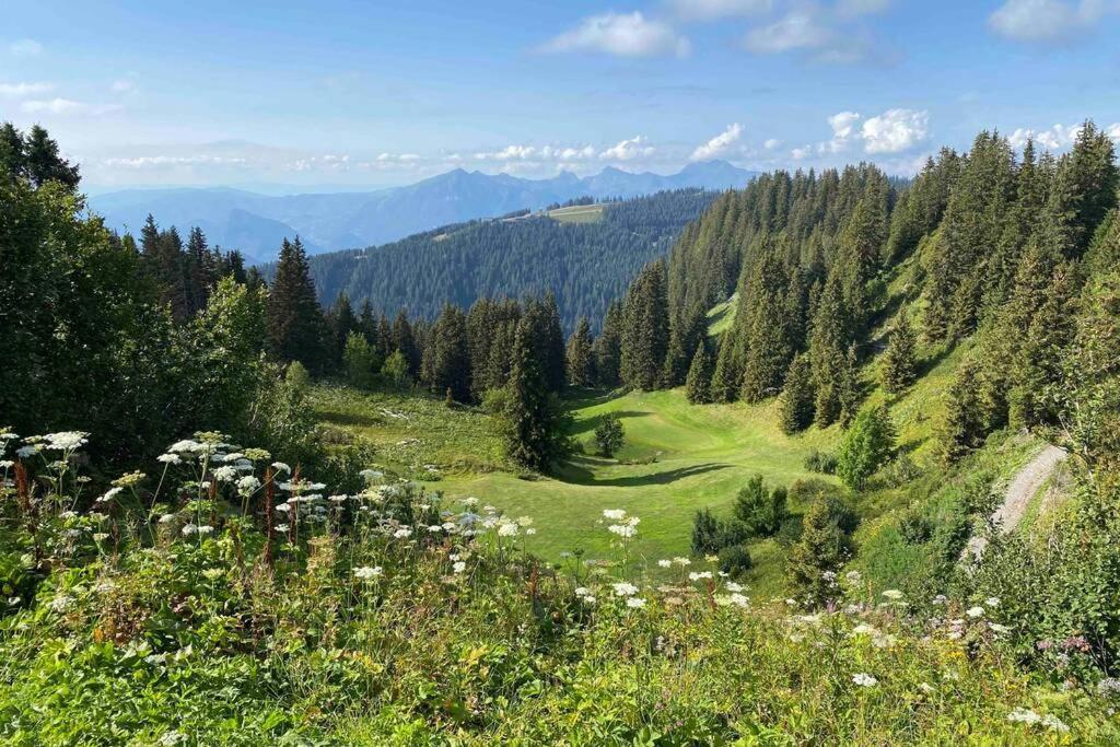 Vue Panoramique Sur Les Montagnes Plein Sud - T2 Skis Aux Pieds, Piscine & Spa Flaine Exterior foto